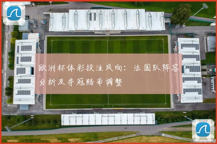 欧洲杯体彩投注风向:法国队阵容分析及夺冠赔率调整