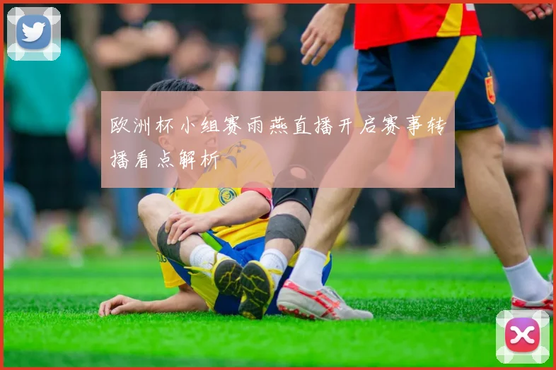 欧洲杯小组赛雨燕直播开启赛事转播看点解析