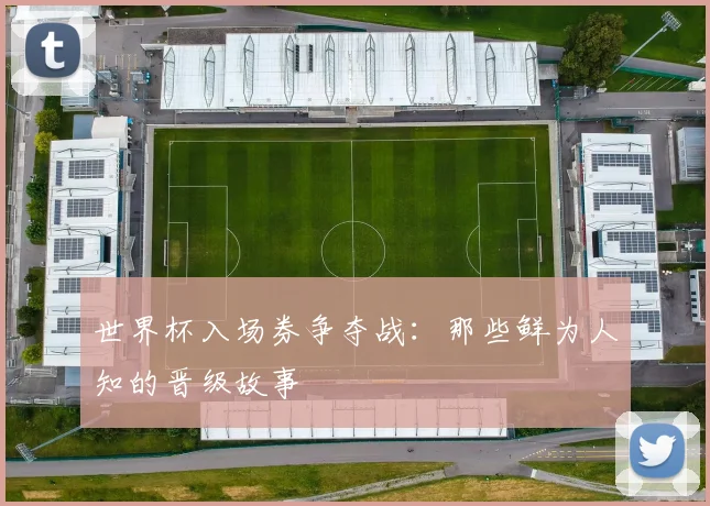世界杯入场券争夺战：那些鲜为人知的晋级故事