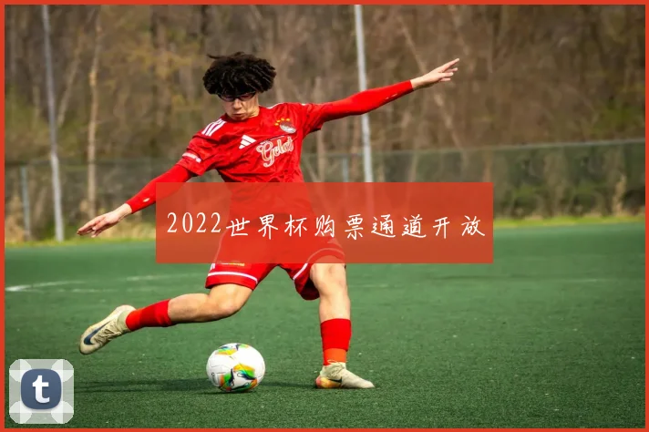 2022世界杯购票通道开放
