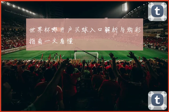 世界杯哪开户买球入口解析与购彩指南一文看懂