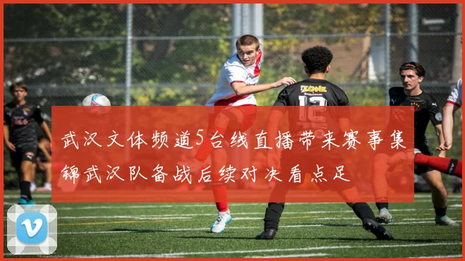武汉文体频道5台线直播带来赛事集锦武汉队备战后续对决看点足