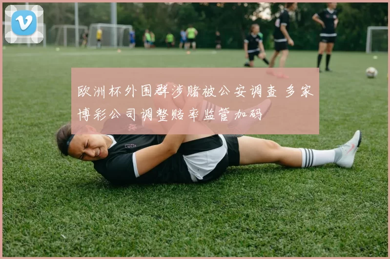 欧洲杯外围群涉赌被公安调查 多家博彩公司调整赔率监管加码