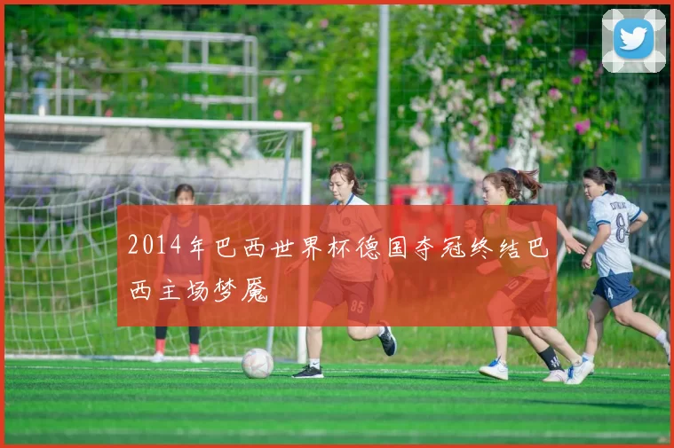 2014年巴西世界杯德国夺冠终结巴西主场梦魇