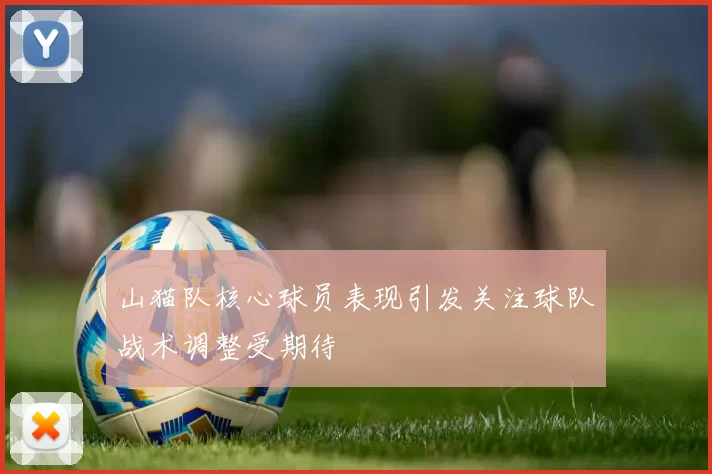 山猫队核心球员表现引发关注球队战术调整受期待