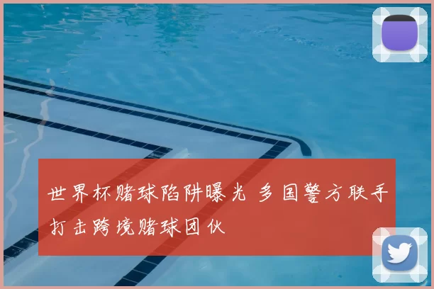 世界杯赌球陷阱曝光 多国警方联手打击跨境赌球团伙