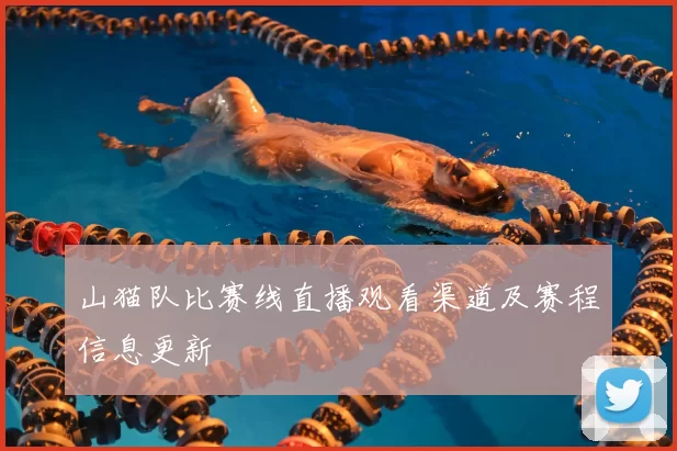 山猫队比赛线直播观看渠道及赛程信息更新