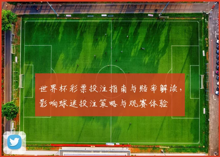 世界杯彩票投注指南与赔率解读，影响球迷投注策略与观赛体验