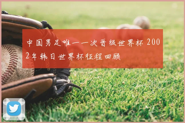 中国男足唯一一次晋级世界杯 2002年韩日世界杯征程回顾