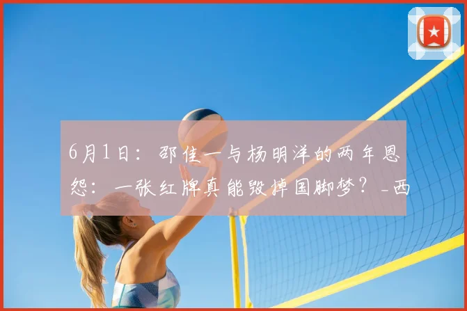 6月1日：邵佳一与杨明洋的两年恩怨：一张红牌真能毁掉国脚梦？_西海岸_青岛_主帅